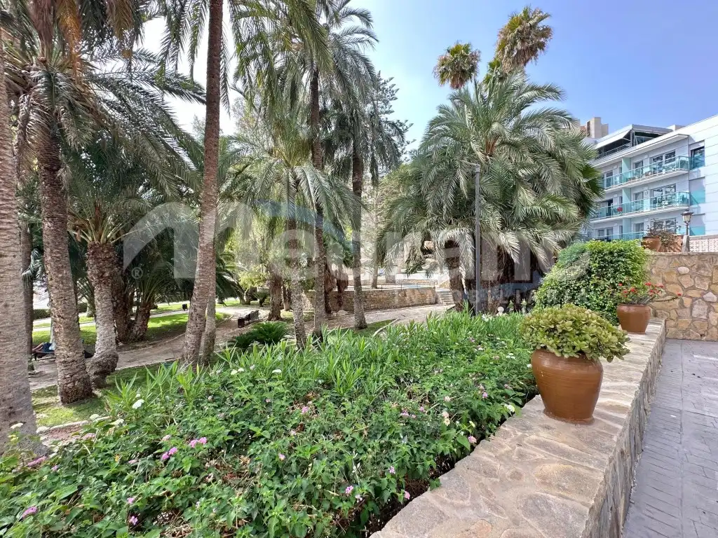 Pis amb jardí en venda a Avenida Vicente Llorca Alos, imagen 45