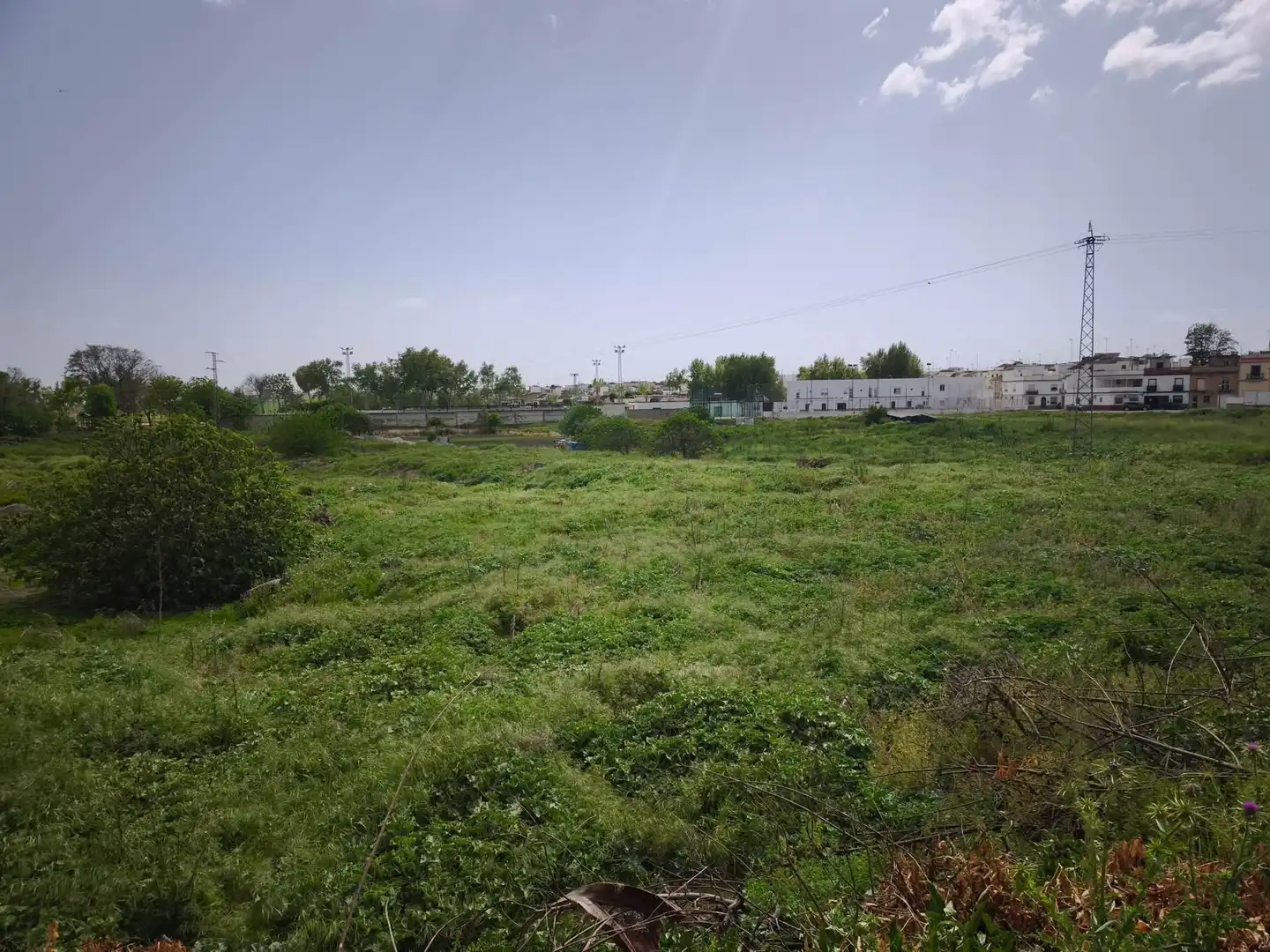 Terreno residencial en venta en Arcos de la Frontera, imagen 8