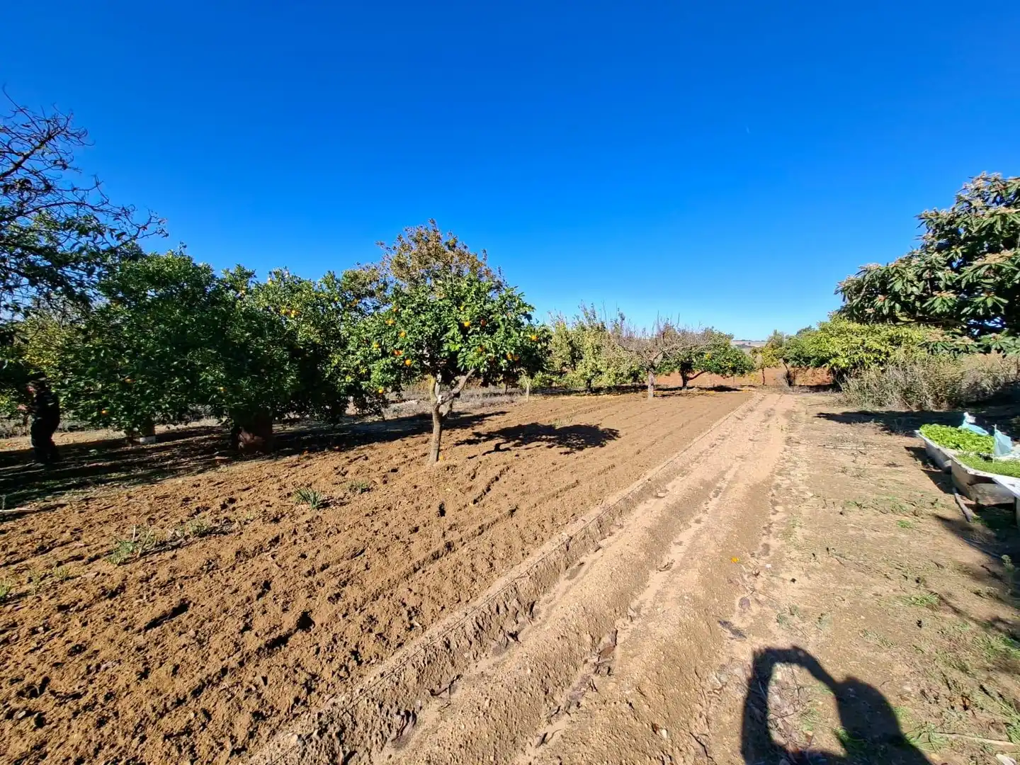 Casa rústica en venda a El Bosque, imagen 4