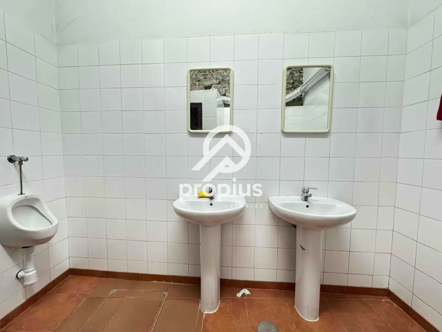 Gewerbefläche zum Verkauf in Rodrigo Grossi, imagen 14