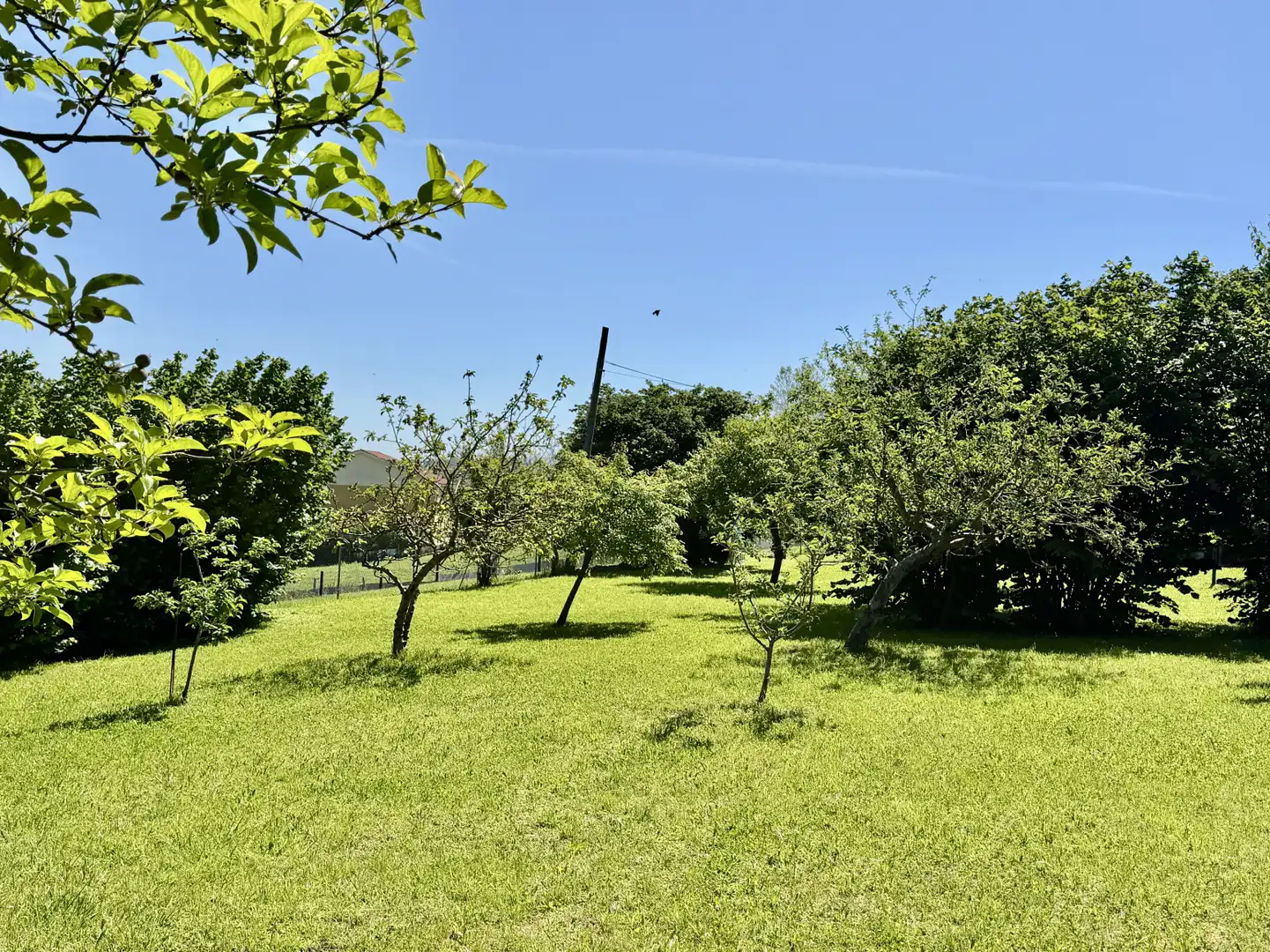 Casa amb jardí en venda a Queveda - BO QUEVEDA-MERMON 10, imagen 22