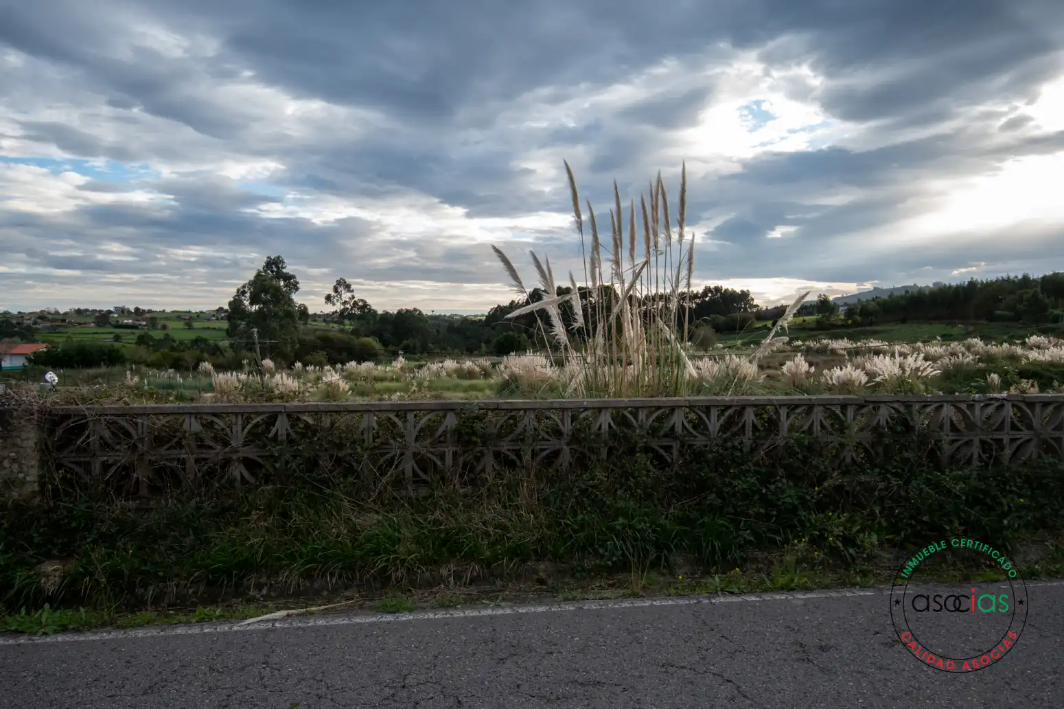 Terreno rustico in vendita a Careñes, imagen 15