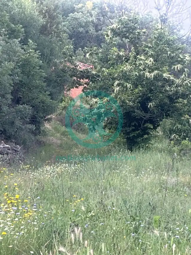 Terreni e lotti in vendita a Garganta la Olla, imagen 18