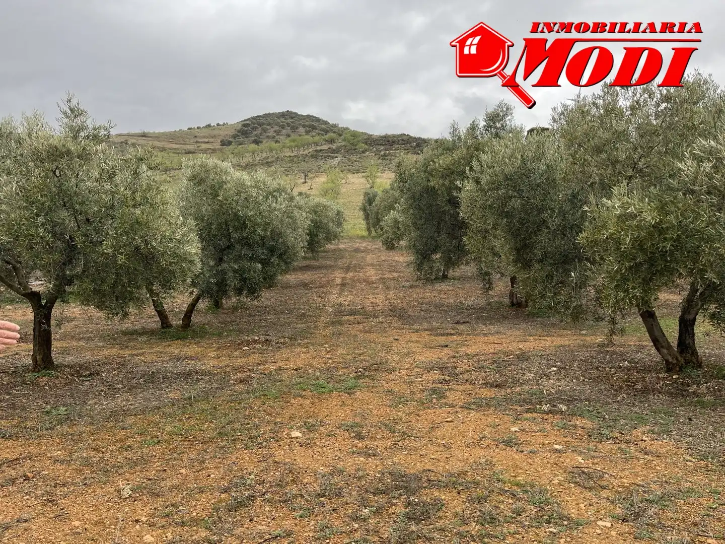 Residencial en venta en Albuñuelas