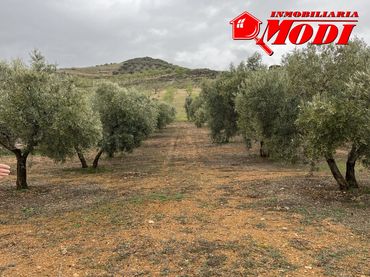Terreni e lotti in vendita a Albuñuelas