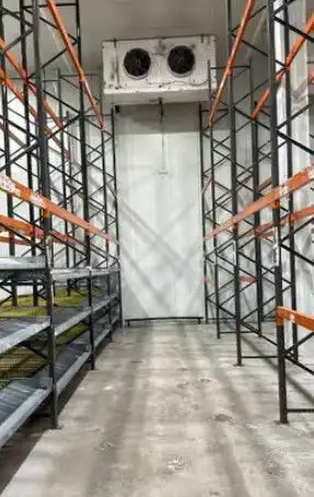 Nau industrial de lloguer a Bollullos de la Mitación, imagen 6