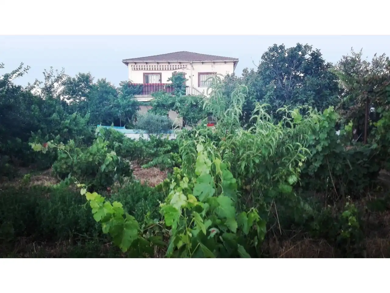 Maison rustique avec piscine à vendre à Poligono 17 186, imagen 10