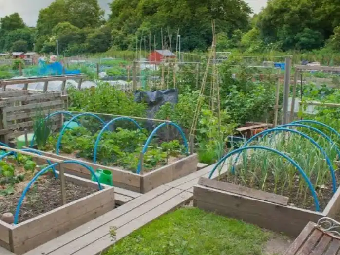 Garten von Grundstücke zur Miete in Tarragona