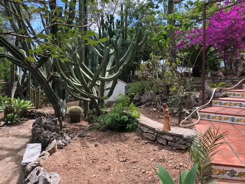 Jardín de Casa o chalet en venta en Palma de Gandia con Aire acondicionado, Jardín privado y Terraza