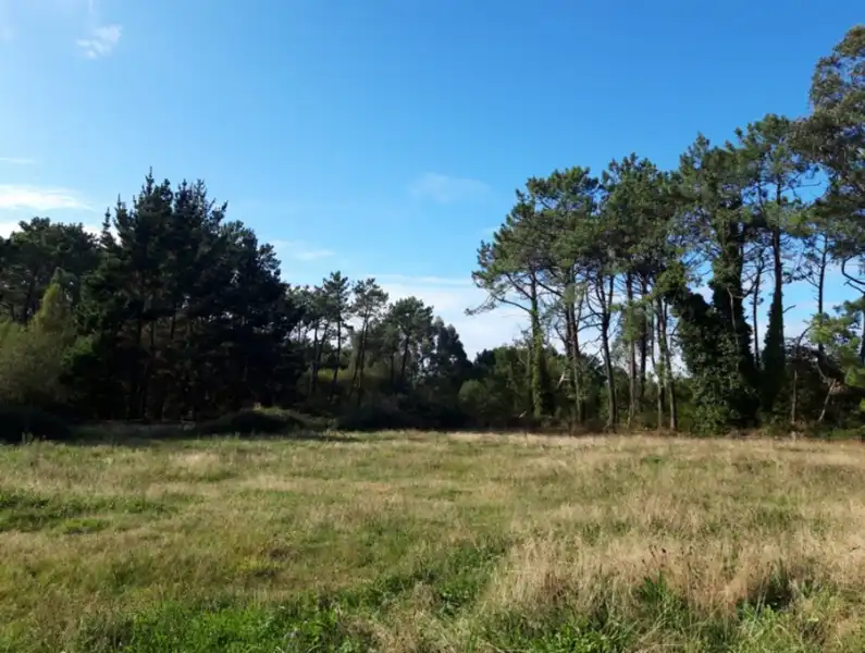 Residencial en venta en OVIÑANA Polígono 13 Parcela , Cudillero