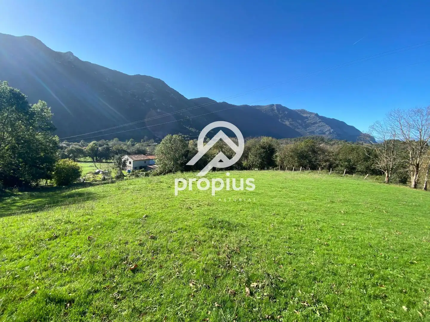 Land for sale in Llanes