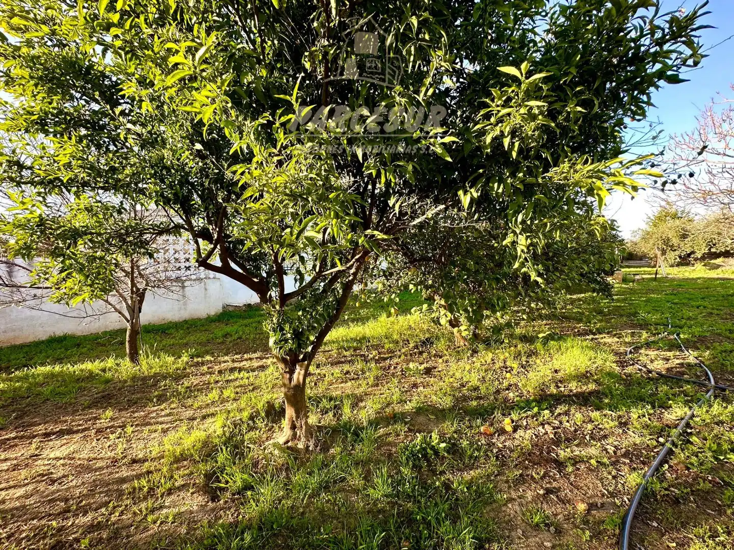 Casa en venta en Periurbano Oeste - Sierra, imagen 8