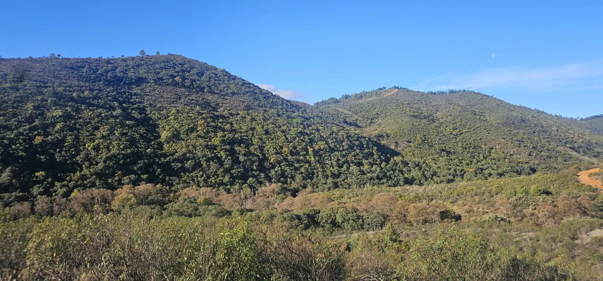 Terreni e lotti in vendita a Alía, imagen 2