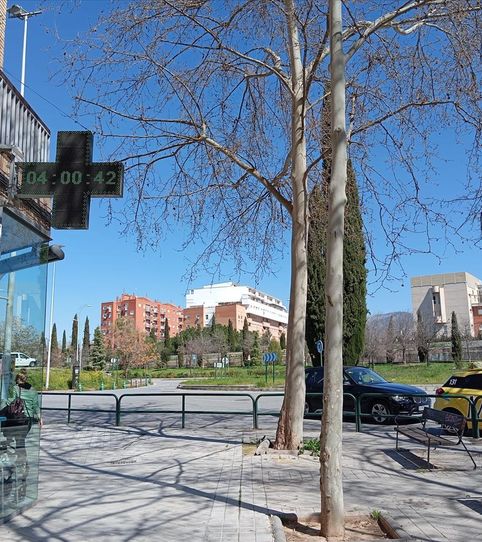 Photo 2 of Flat for sale in Circunvalacion Encina, Angustias - Chana - Encina, Granada Capital