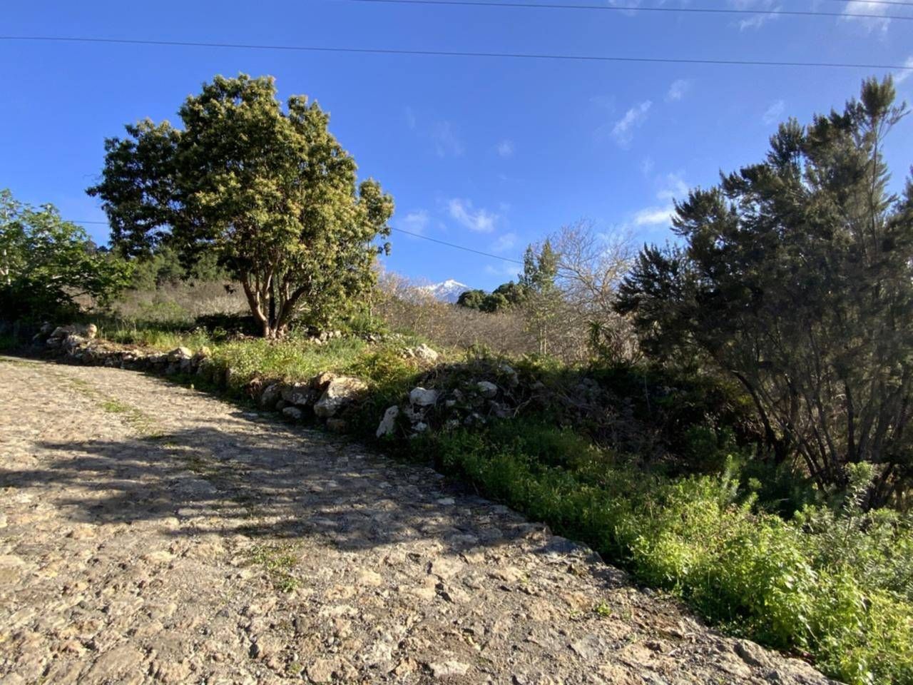 Vista exterior de Terreno en venta en Icod de los Vinos