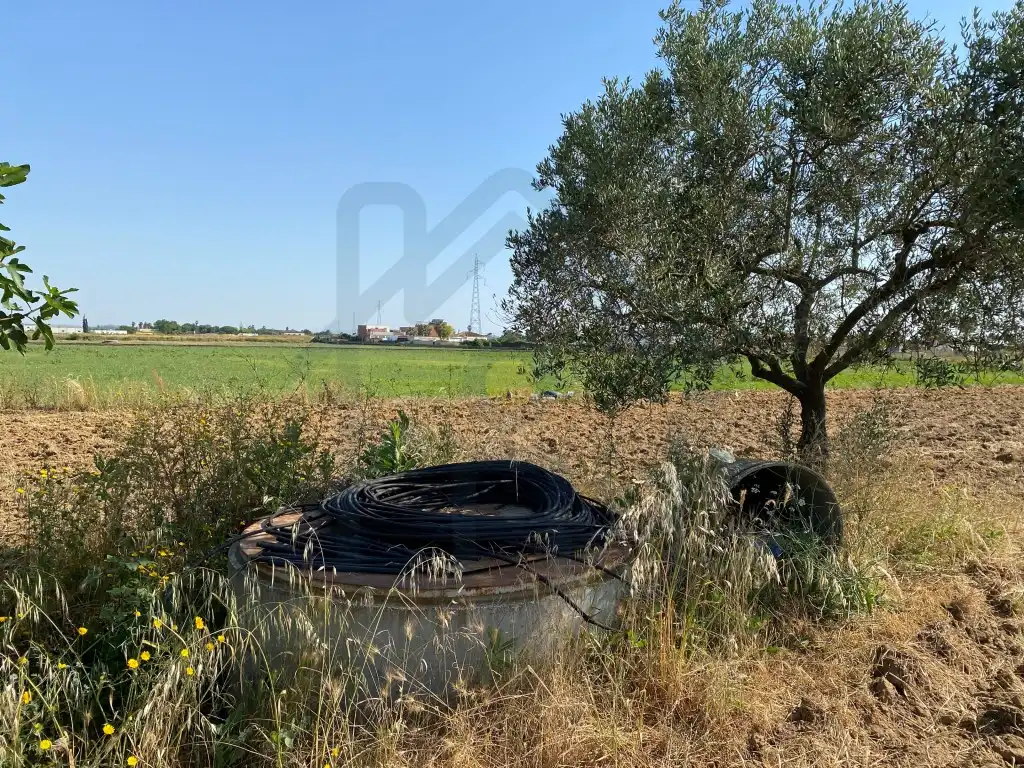 Terreni e lotti in vendita a Los Palacios y Villafranca, imagen 2