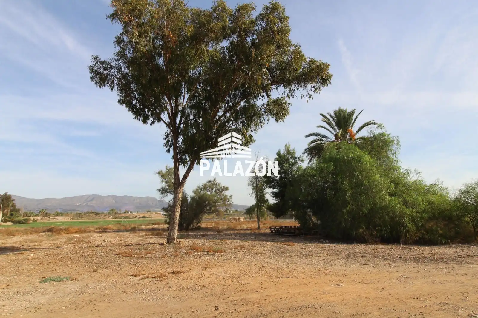 Terreno rustico in vendita a Crevillent, imagen 4