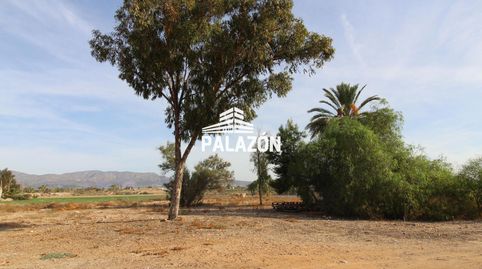 Finca rústica en venta para recreo en Catral Alicante, imatge 4