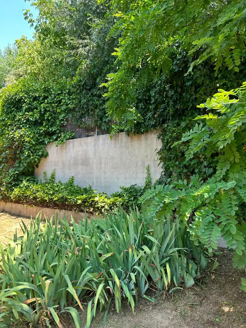 Casa amb jardí en venda a Colmenarejo, imagen 76