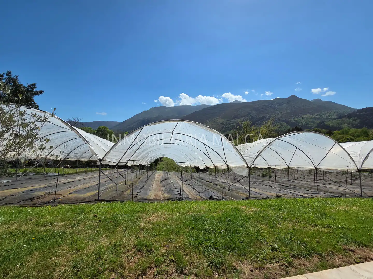 Jardí de Casa o xalet en venda en Colunga amb Calefacció, Jardí privat i Parquet