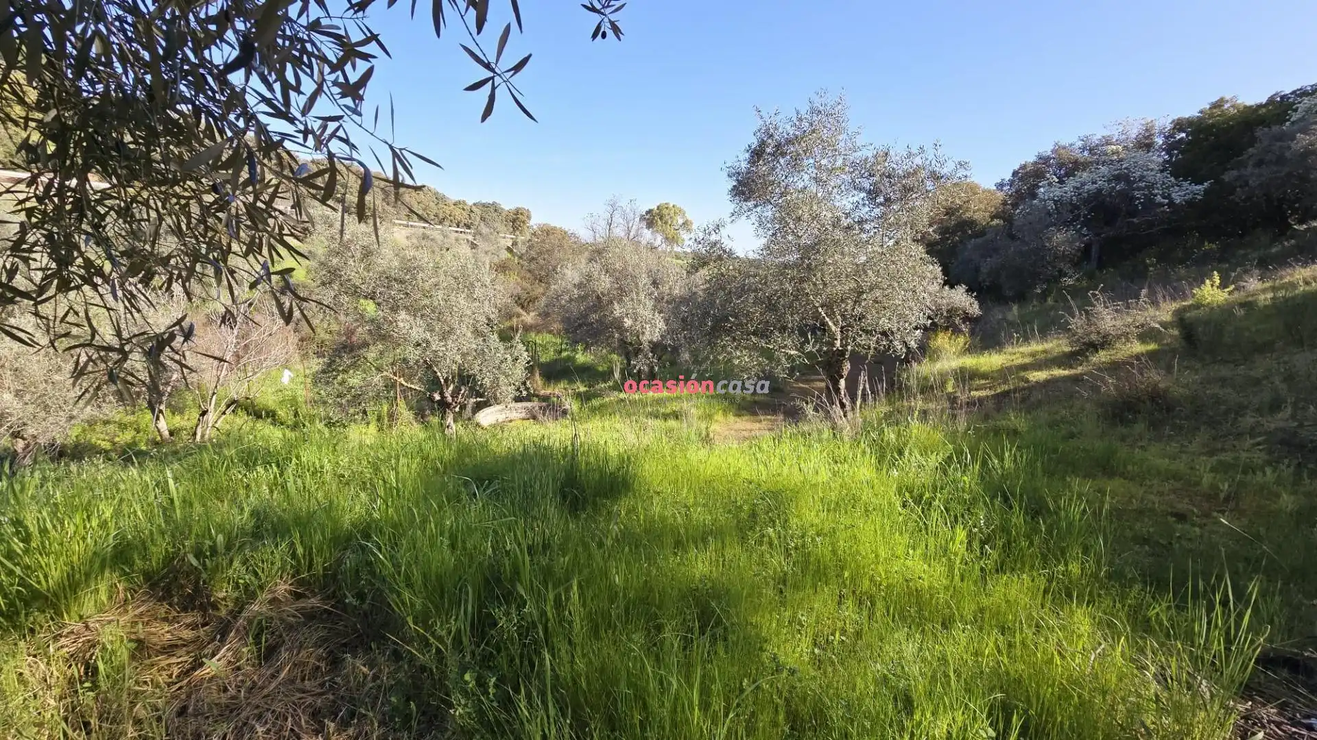 Casa o chalet en venta en Pozoblanco con Jardín privado, Terraza y Trastero