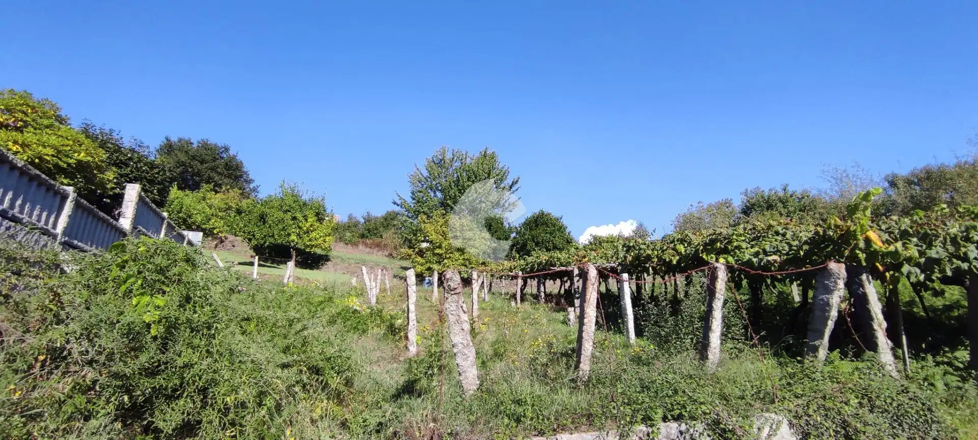 Terrenos y solares en venta en Vilaboa, imagen 6
