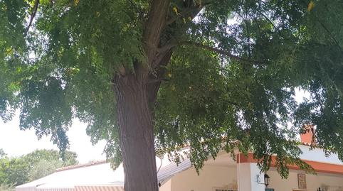 Foto 4 de Casa o chalet en venta en Carmona, Sevilla