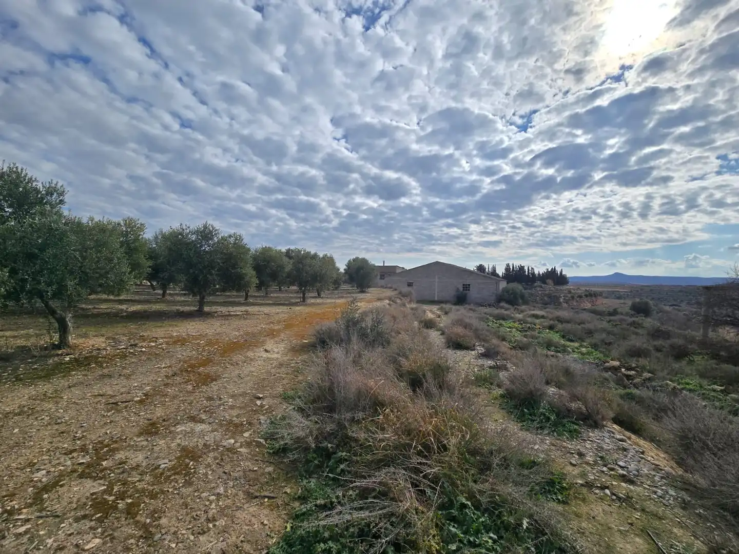Finca rústica en venda a Carrer Sèquia, Aitona