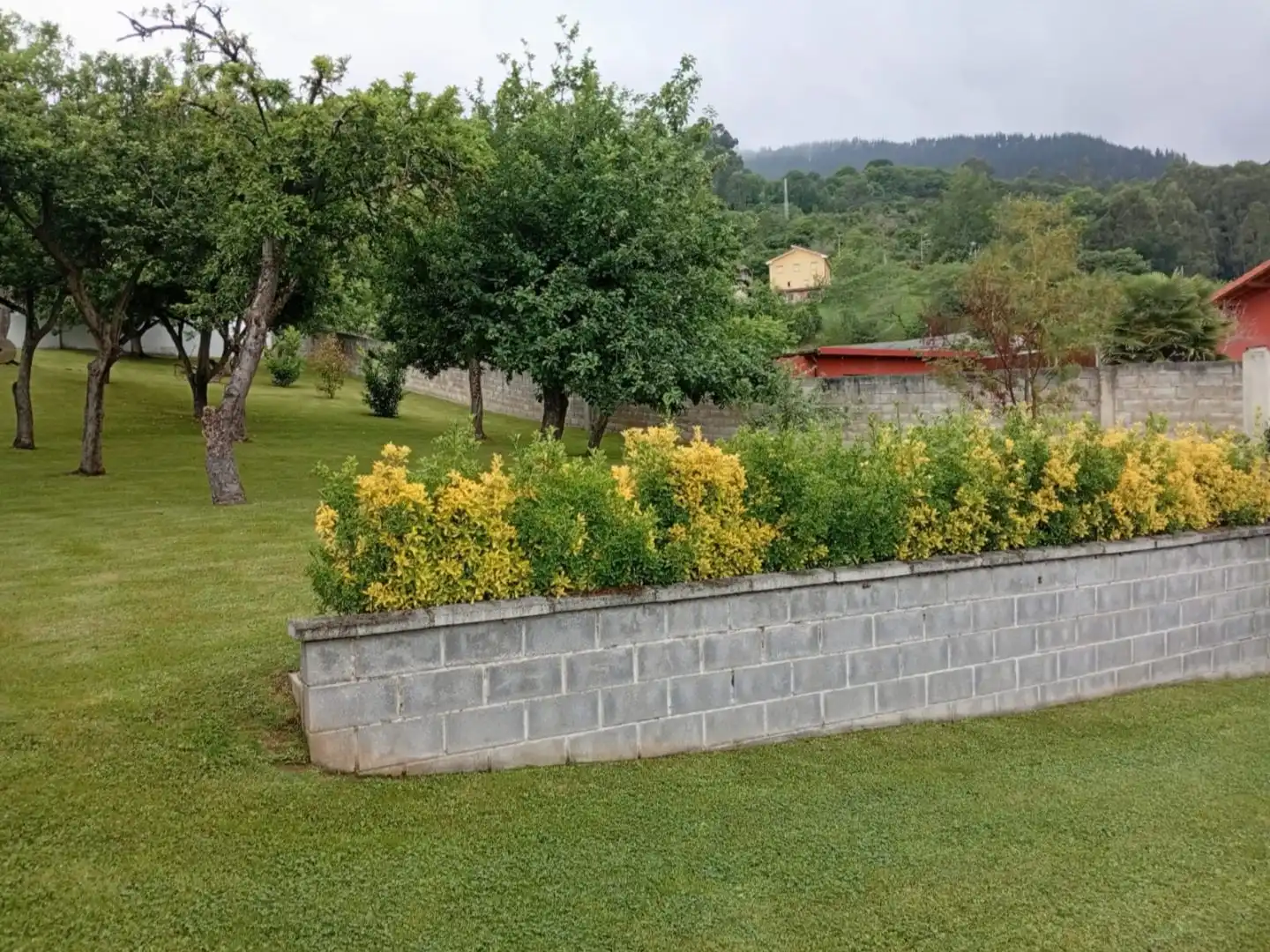 Garden of Commercial properties for sale in Salas