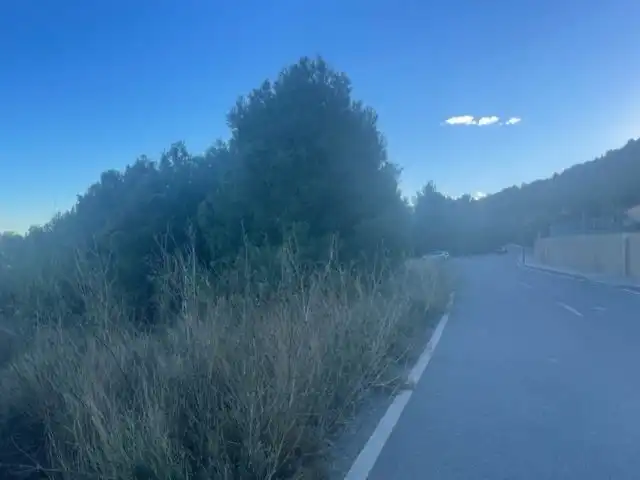 Grundstücke und Bauplätze zum Verkauf in La Alberca, imagen 6