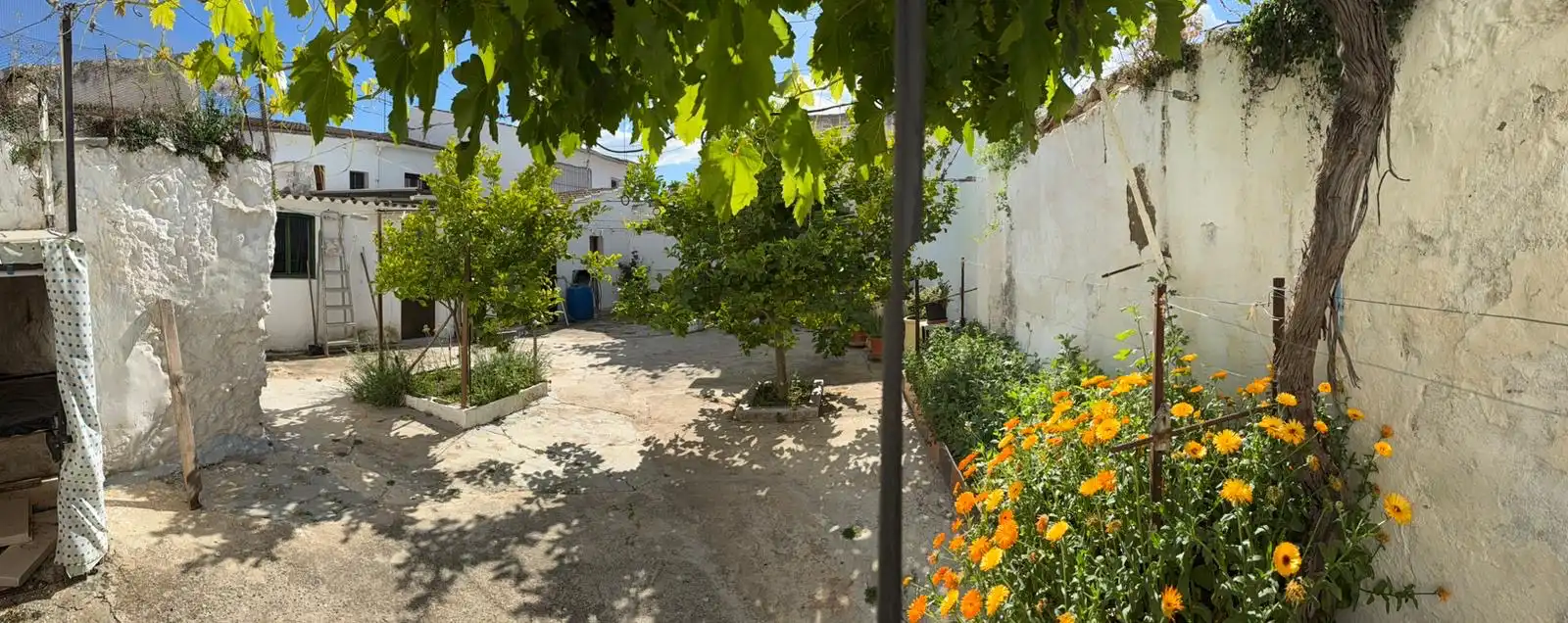 Vista exterior de Casa o chalet en venta en Mollina con Aire acondicionado, Jardín privado y Terraza