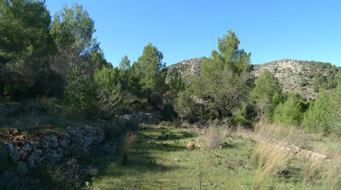 PARCELA CONSTRUCTIBLE EN JALON ALICANTE, imatge 3