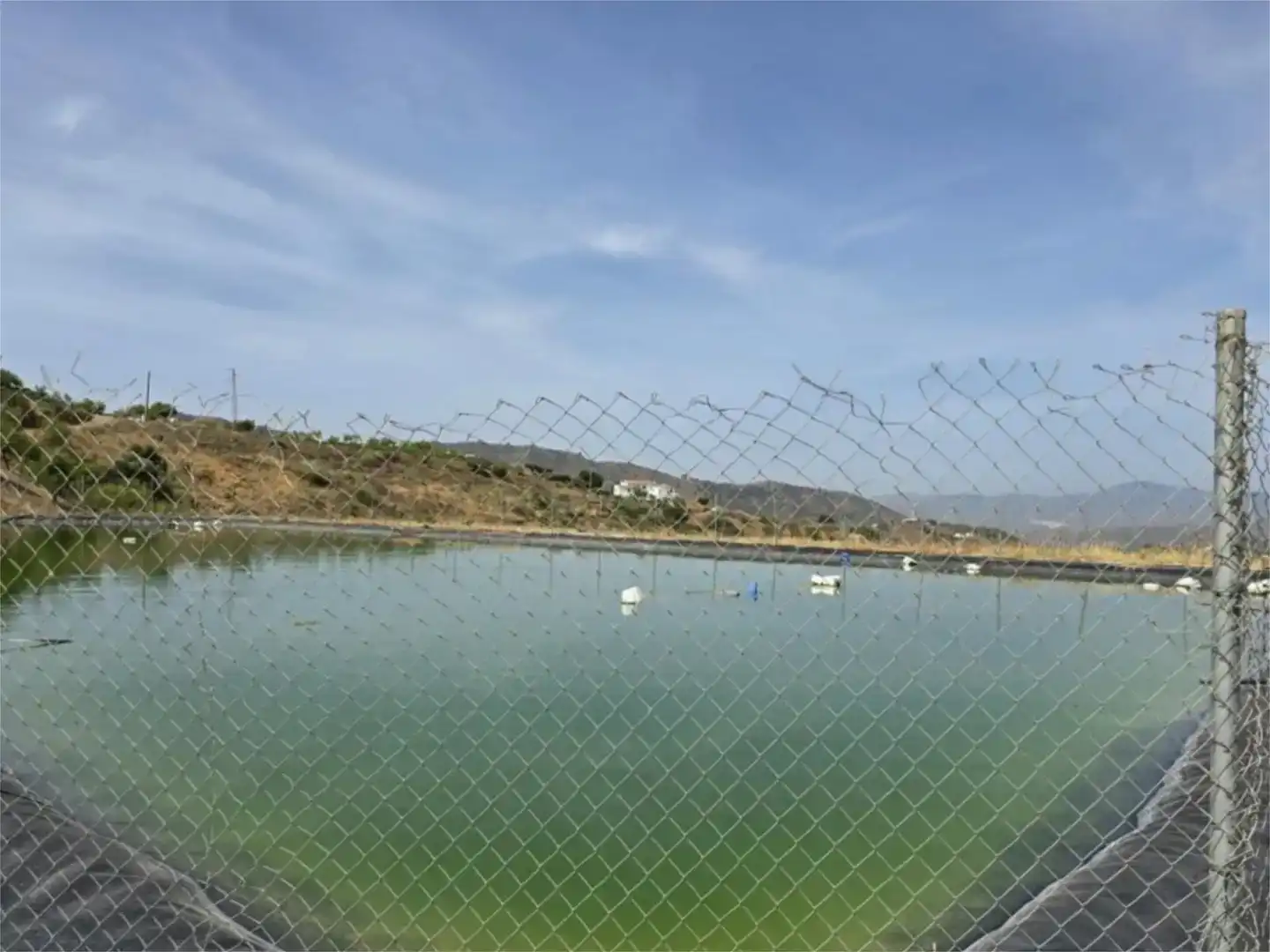 Piscina de Finca rústica en venda en Vélez-Málaga
