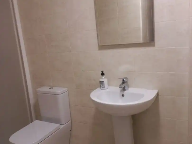 Bathroom of Flat for rent in Centro  