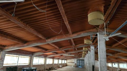 Foto 5 von Fabrikhallen zum Verkauf in L'Aldea, Tarragona