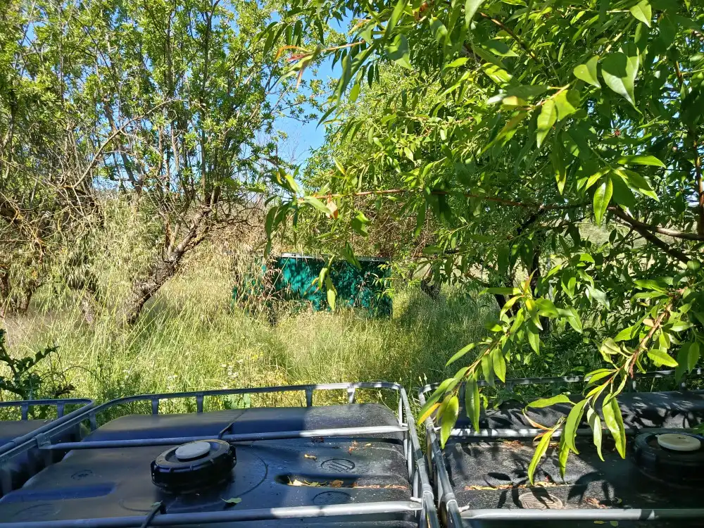 Jardín de Piso en venta en Teresa de Cofrentes