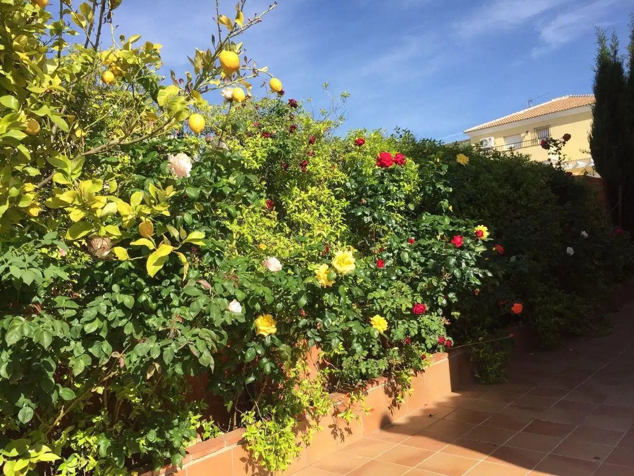 Jardí de Casa o xalet en venda en Antequera amb Aire condicionat, Calefacció i Jardí privat