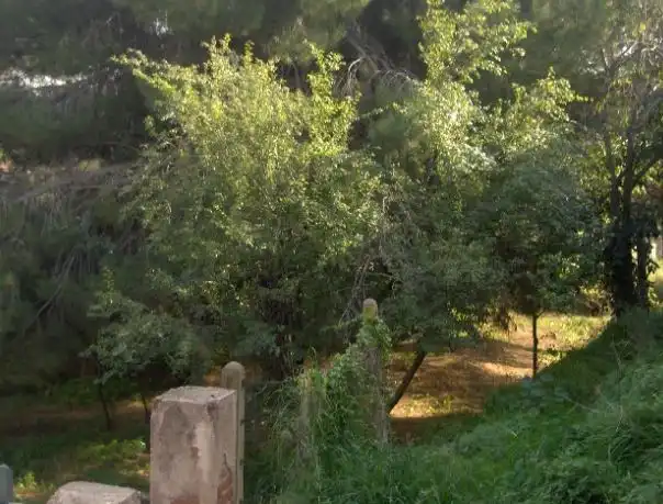 Rural land for sale in C/ Sant Sebastiá, imagen 7