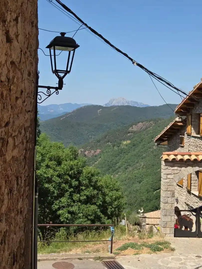 Vista exterior de Casa o chalet en venta en Castellar de n'Hug, Barcelona
