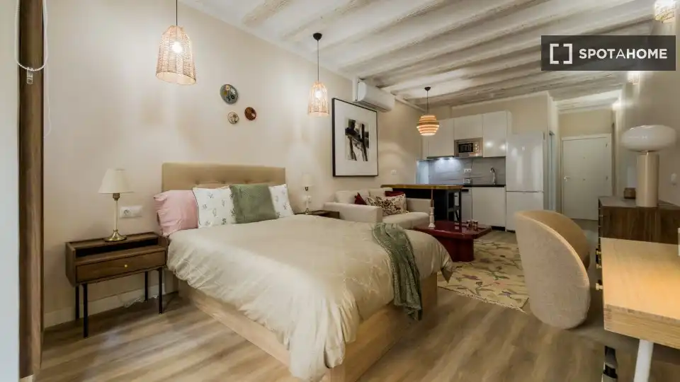Flat with terrace to rent in Ciutat Vella, imagen 13