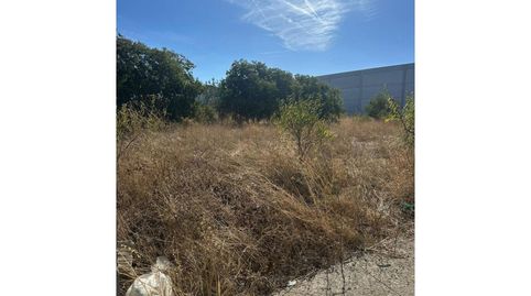 TERRENO INDUSTRIAL CERVERA, imatge 3