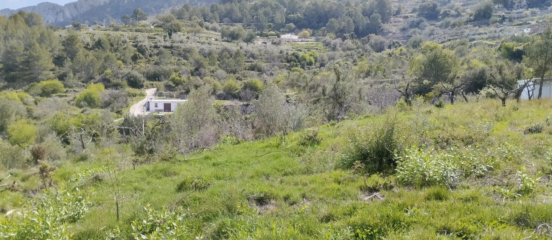 Terreny rústic en venda a La Vall de Gallinera