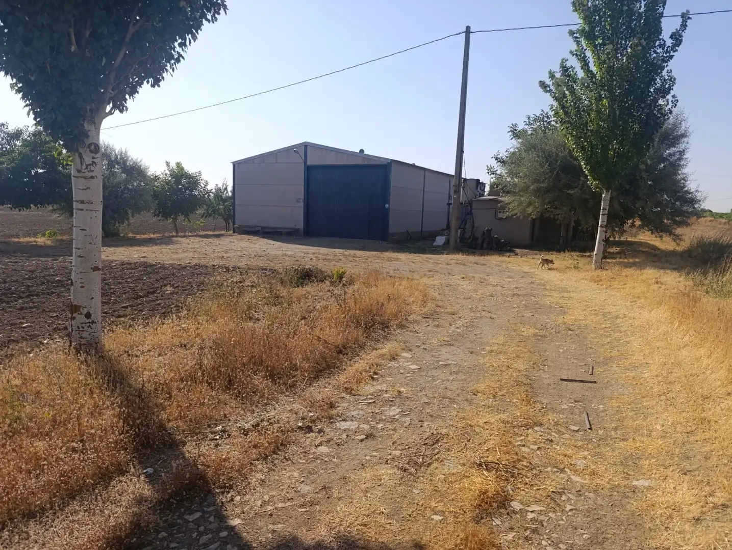 Terrenys i solars en venda a Camino Ajofrín, imagen 3