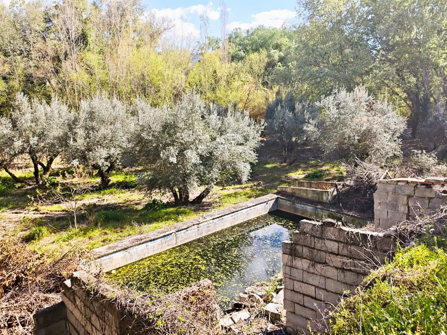 Garten von Grundstücke zum Verkauf in Jaén