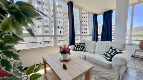 Estudio con vistas al mar en Cala Major, imatge 2