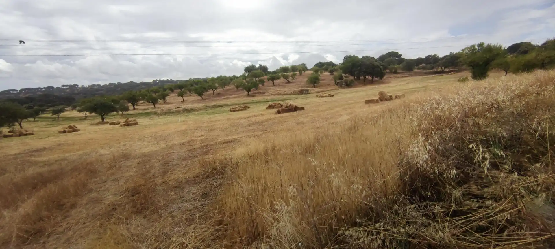 Terreni e lotti in vendita a Garrovillas de Alconétar, imagen 3