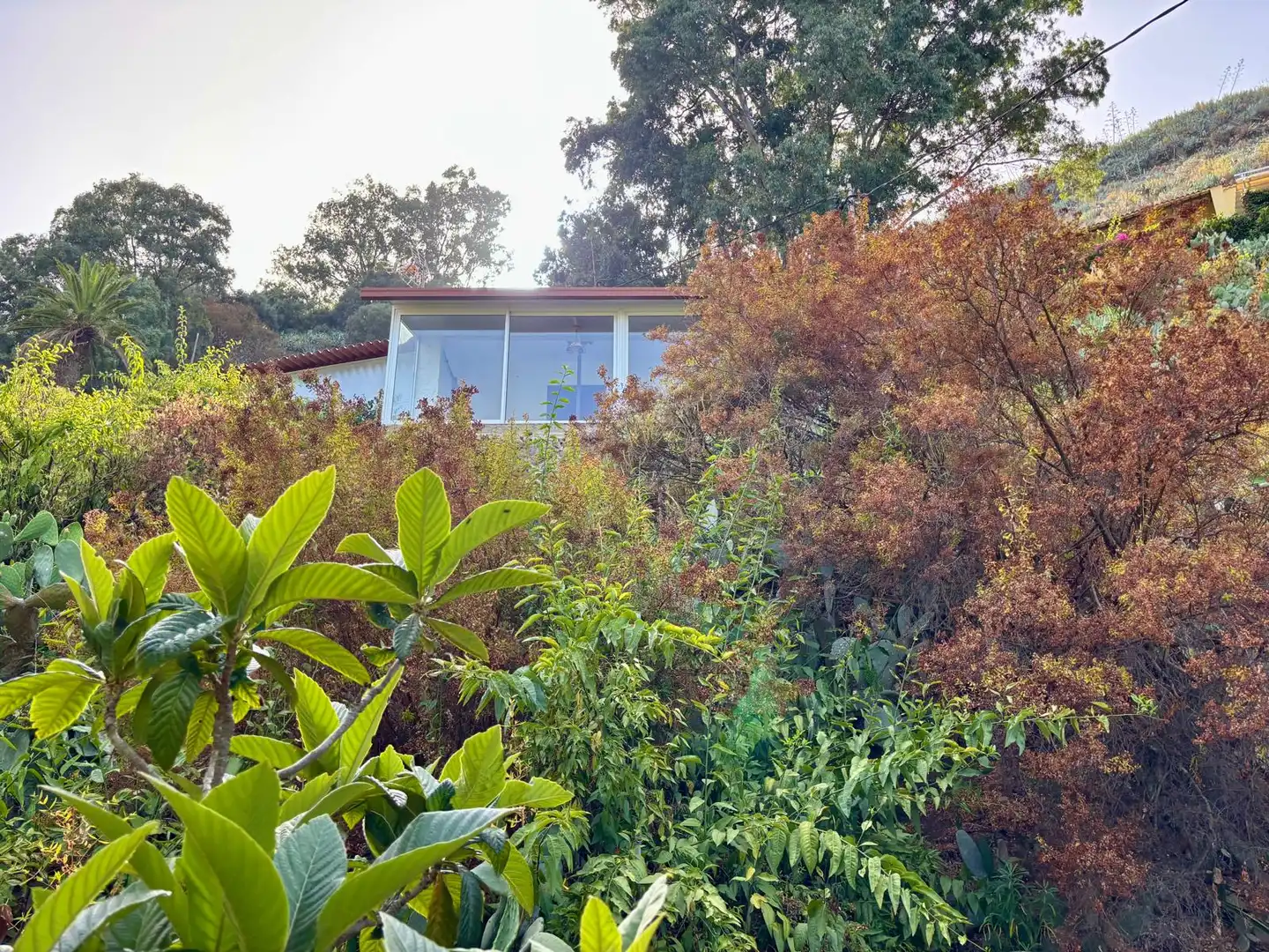 Vista exterior de Finca rústica en venda en Santa Brígida amb Rentadora