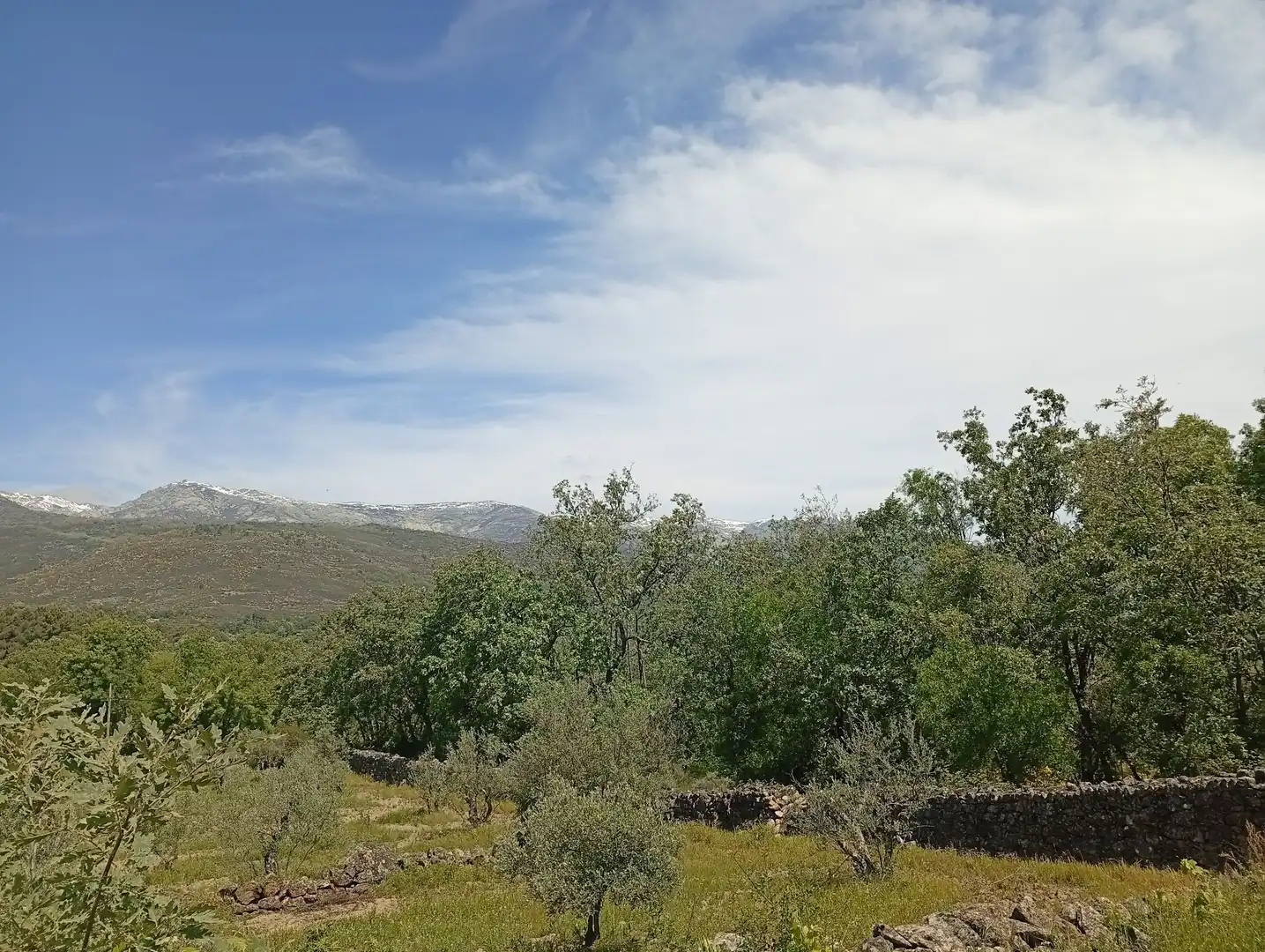 Terreni e lotti in vendita a Villanueva de la Vera, imagen 121