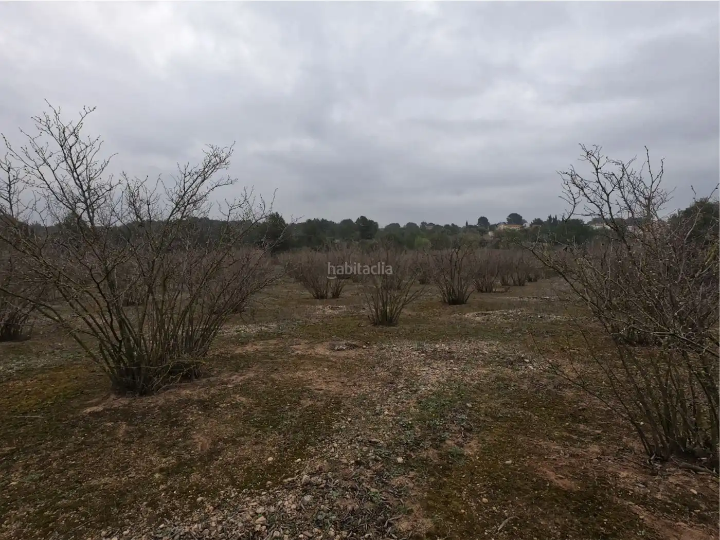 Rural land for sale in Carrer Sant Cristòfol 2, imagen 2