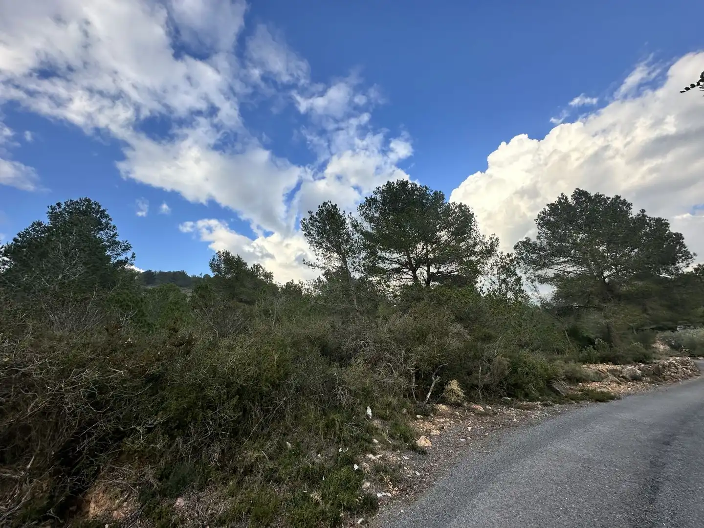Terrenos y solares en venta en Alfara de la Baronia, imagen 5